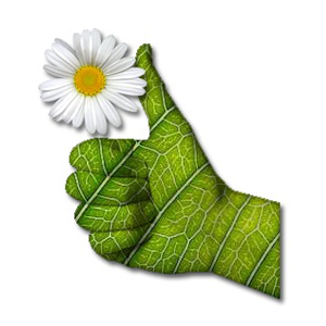 Die helfende Hand